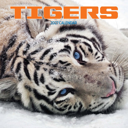 Magnet & Steel Tijger Kalender 2027