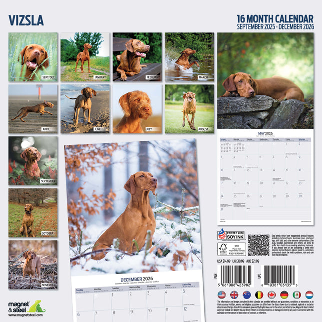 Magnet & Steel Vizsla Kalender 2026