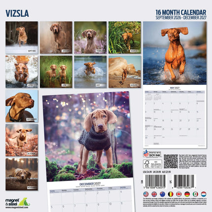 Magnet & Steel Vizsla Kalender 2027