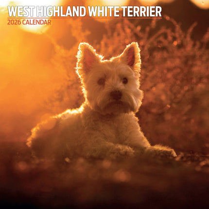 Magnet & Steel West Highland White Terrier Kalender 2027