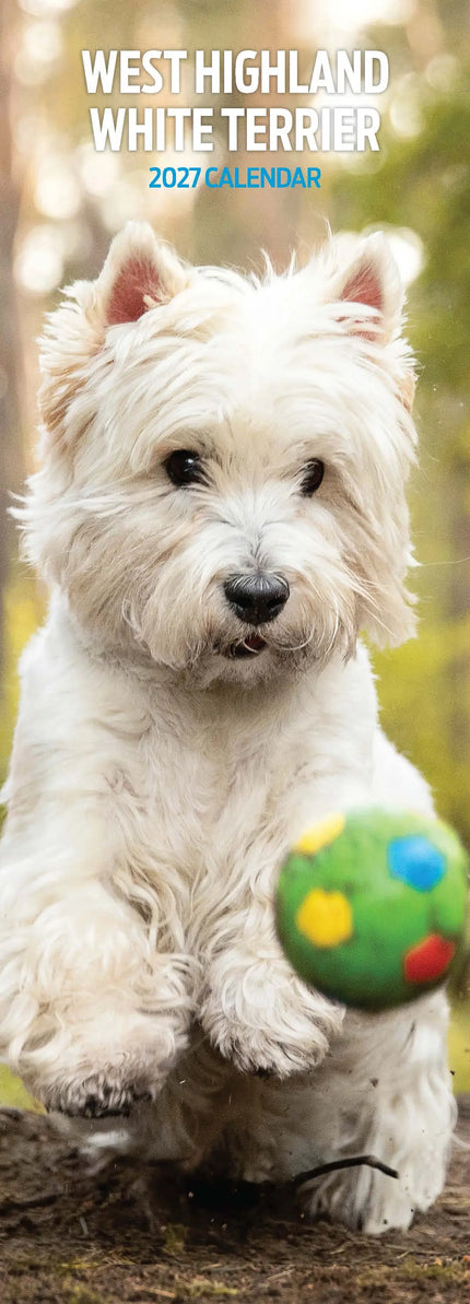 Magnet & Steel West Highland White Terrier Kalender 2027 Slimline
