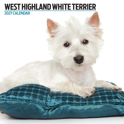 Magnet & Steel West Highland White Terrier Modern Kalender 2026