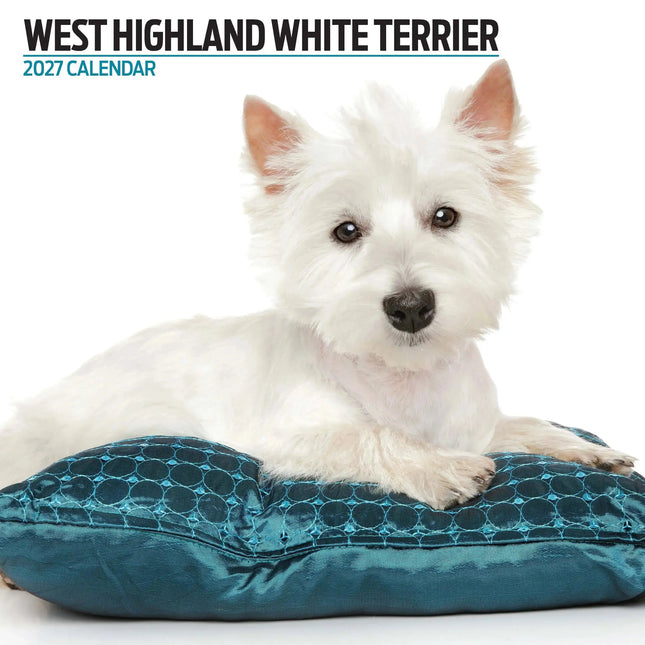 Magnet & Steel West Highland White Terrier Modern Kalender 2027