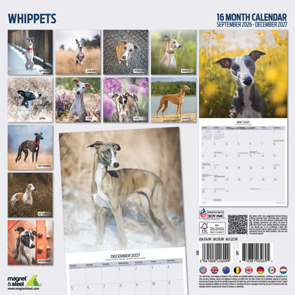 Magnet & Steel Whippet Kalender 2027