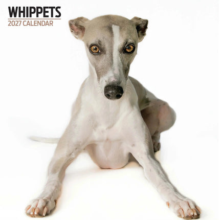 Magnet & Steel Whippet Modern Kalender 2027