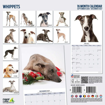 Magnet & Steel Whippet Modern Kalender 2027