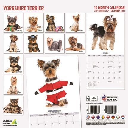 Magnet & Steel Yorkshire Terrier Kalender 2025 Modern