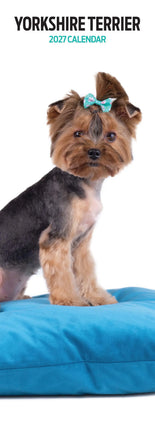 Magnet & Steel Yorkshire Terrier Kalender 2027 Slimline