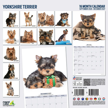 Magnet & Steel Yorkshire Terrier Modern Kalender 2027