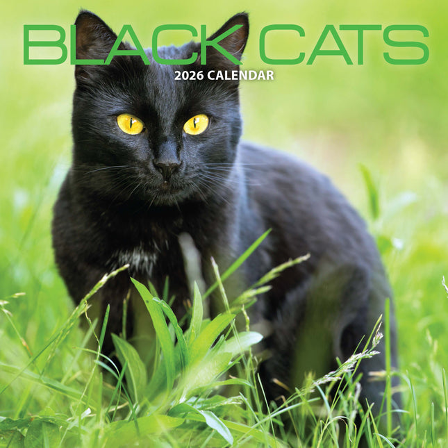 Magnet & Steel Zwarte Katten Kalender 2026