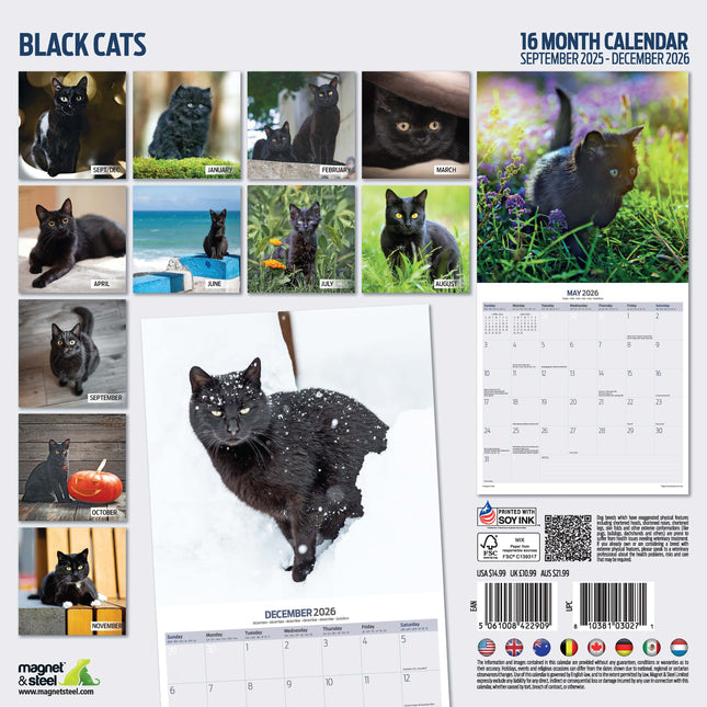 Magnet & Steel Zwarte Katten Kalender 2026