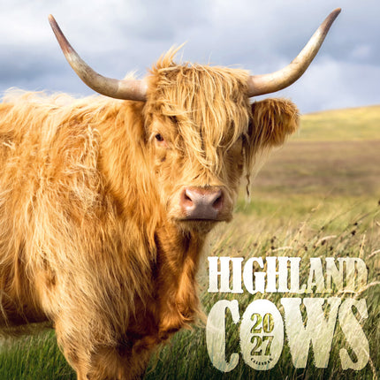 ML Publishing Schotse Hooglanders Kalender 2027