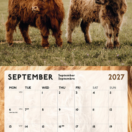 ML Publishing Schotse Hooglanders Kalender 2027