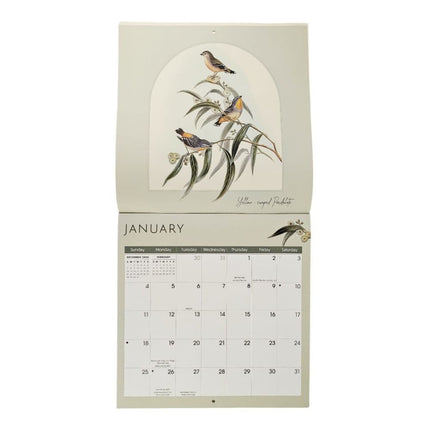 NIQUEA.D Birds Kalender 2026