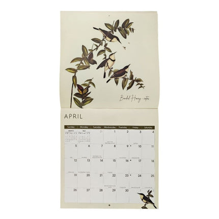 NIQUEA.D Birds Kalender 2026