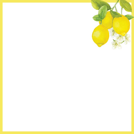 Peter Pauper Amalfi Lemons Notitieblok 250 Vellen