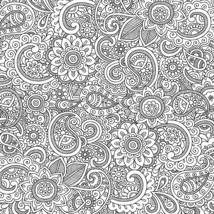 Peter Pauper Peaceful Paisleys Kleurboek