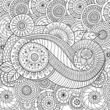 Peter Pauper Peaceful Paisleys Kleurboek