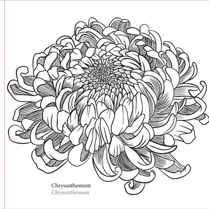 Peter Pauper Spring Blooms Kleurboek
