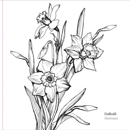 Peter Pauper Spring Blooms Kleurboek