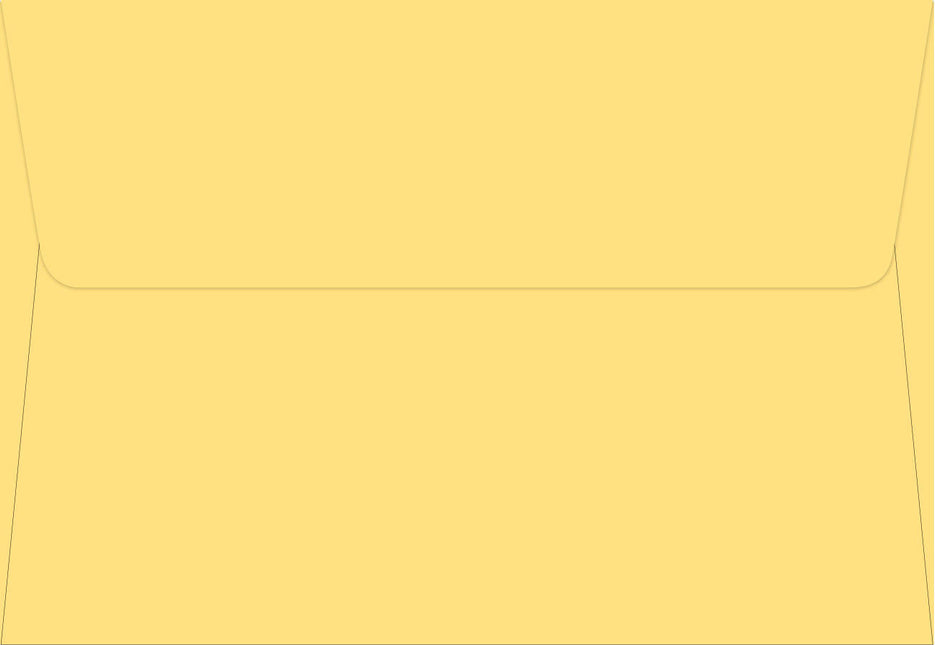 Peter Pauper Watercolor Sunflower Notitiekaarten 14 stuks