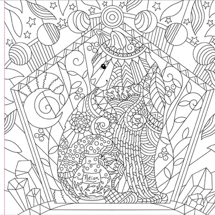 Peter Pauper Witchcraft and Wonder Kleurboek