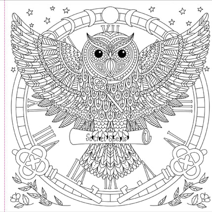 Peter Pauper Witchcraft and Wonder Kleurboek
