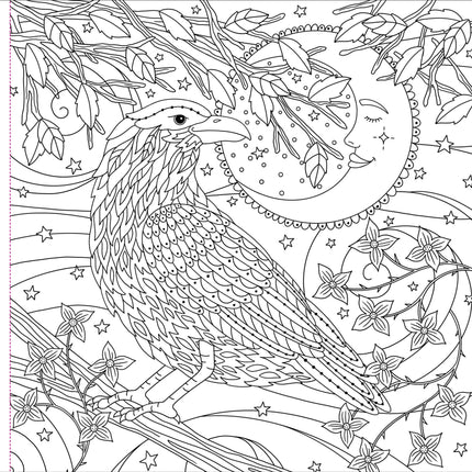 Peter Pauper Witchcraft and Wonder Kleurboek