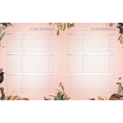 Pimpelmees Pimpelmees A5 School agenda 2026 - 2027 Owl Peach