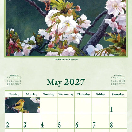 Pine Ridge Wings of Nature Kalender 2027