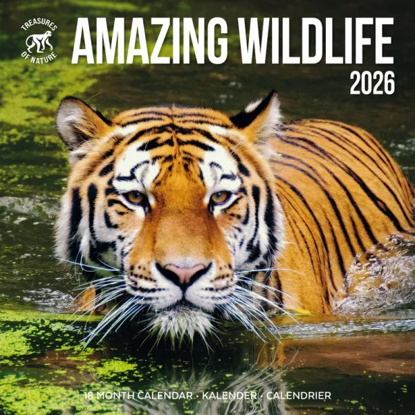 Plenty Gifts Amazing Wildlife Kalender 2027