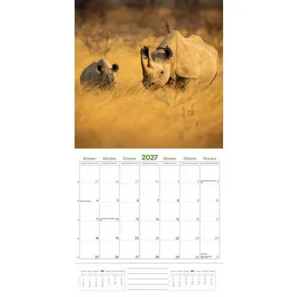 Plenty Gifts Amazing Wildlife Kalender 2027