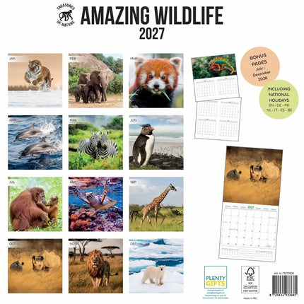 Plenty Gifts Amazing Wildlife Kalender 2027