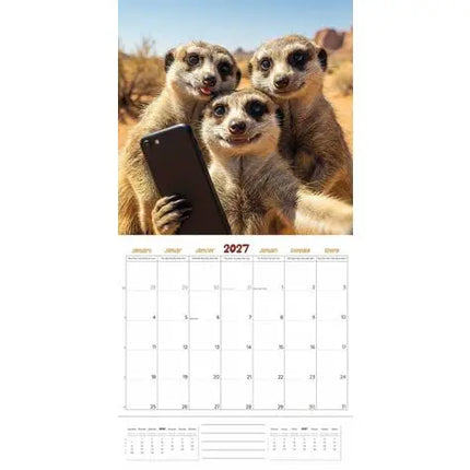 Plenty Gifts Animal Selfies Kalender 2027
