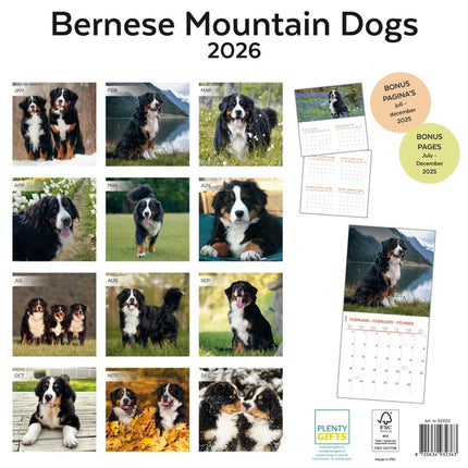 Plenty Gifts Berner Sennen Kalender 2026