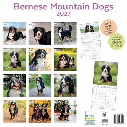 Plenty Gifts Berner Sennen Kalender 2027