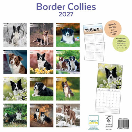 Plenty Gifts Border Collie Kalender 2027