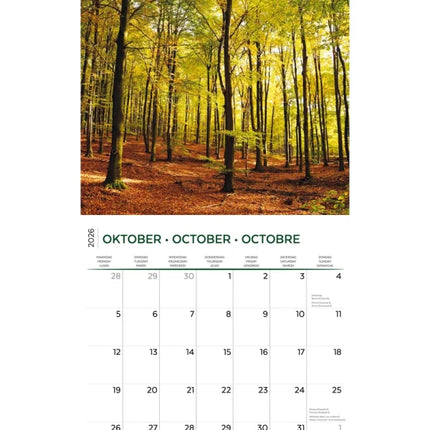 Plenty Gifts Bos en Natuur Kalender 2026