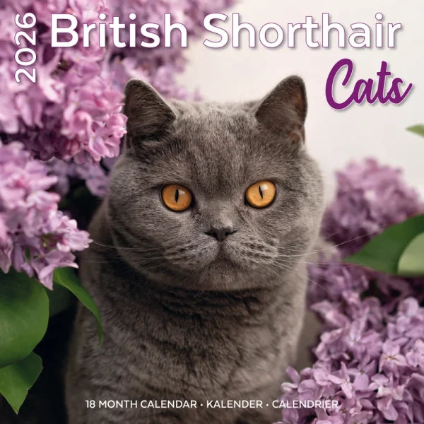 Plenty Gifts Brits Korthaar Kalender 2026