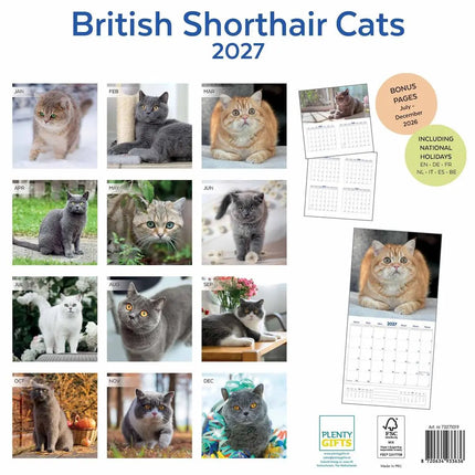 Plenty Gifts Brits Korthaar Kalender 2027