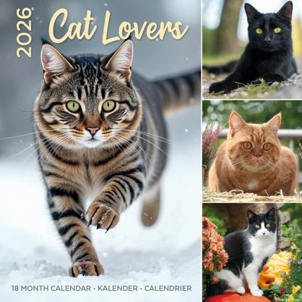 Plenty Gifts Cat Lovers Kalender 2026