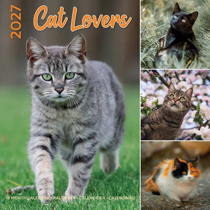 Plenty Gifts Cat Lovers Kalender 2027