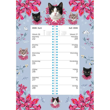 Plenty Gifts Cat Weekomleg Kalender 2026