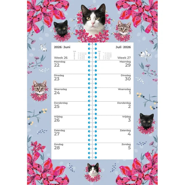 Plenty Gifts Cat Weekomleg Kalender 2026