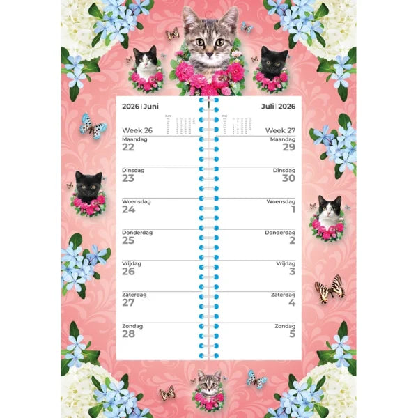 Plenty Gifts Cats Pink Weekomleg Kalender 2026