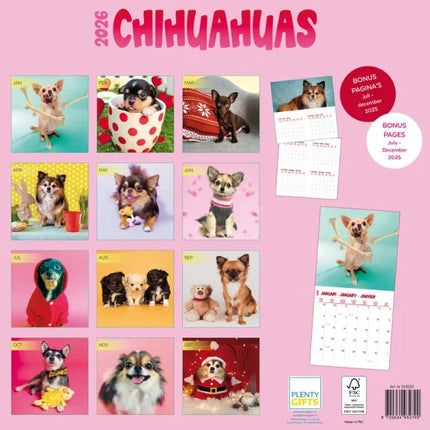Plenty Gifts Chihuahua Studio Kalender 2026