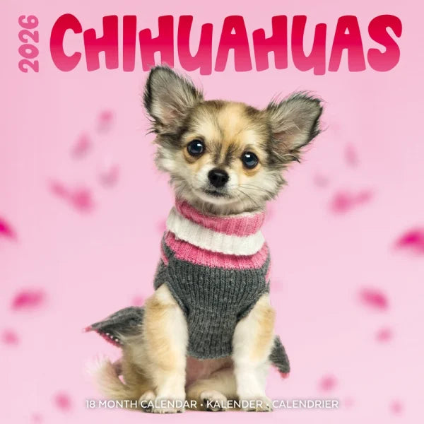 Plenty Gifts Chihuahua Studio Kalender 2027
