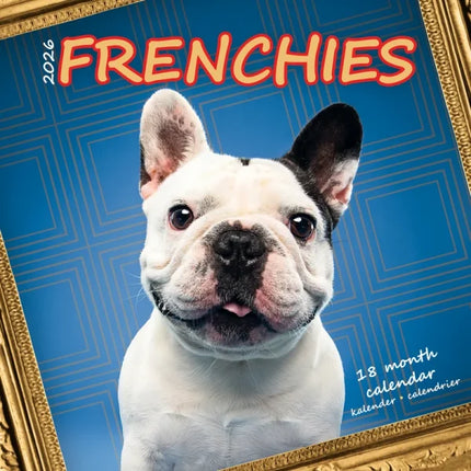 Plenty Gifts Franse Bulldog Studio Kalender 2026