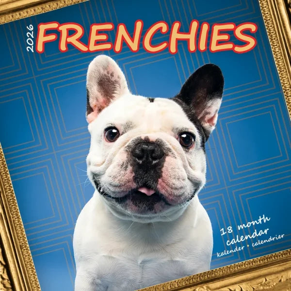 Plenty Gifts Franse Bulldog Studio Kalender 2027