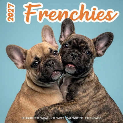 Plenty Gifts Franse Bulldog Studio Kalender 2027